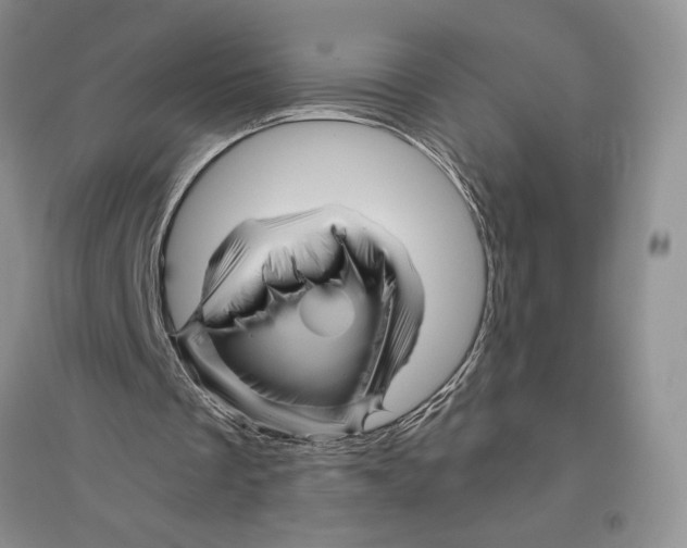 X0000096440289200802211217