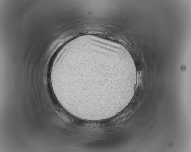 X0000096440291200802211217