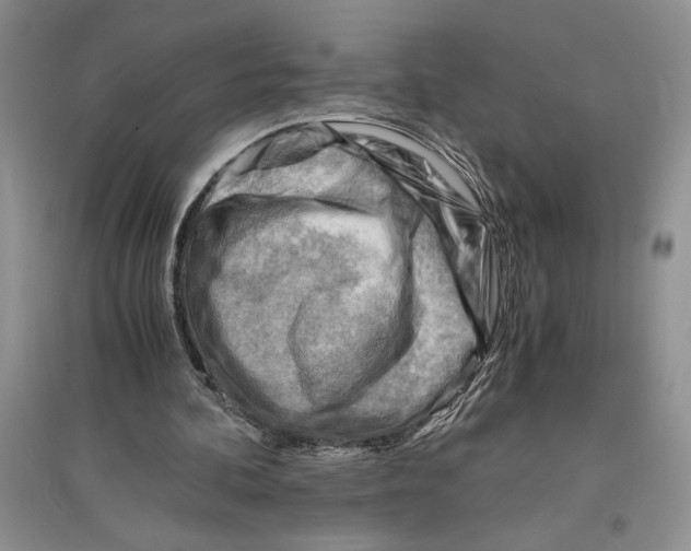 X0000096440292200802211217