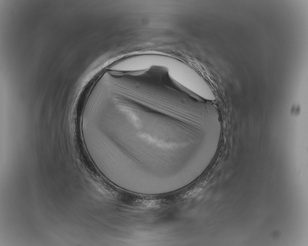 X0000096440295200802211217