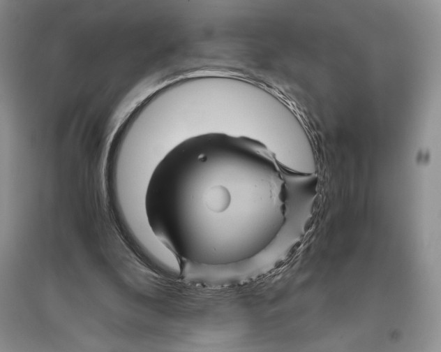 X0000096440296200802211217