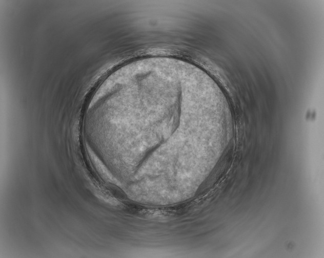 X0000096440297200802211217