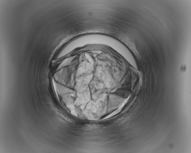 X0000096440300200802211217