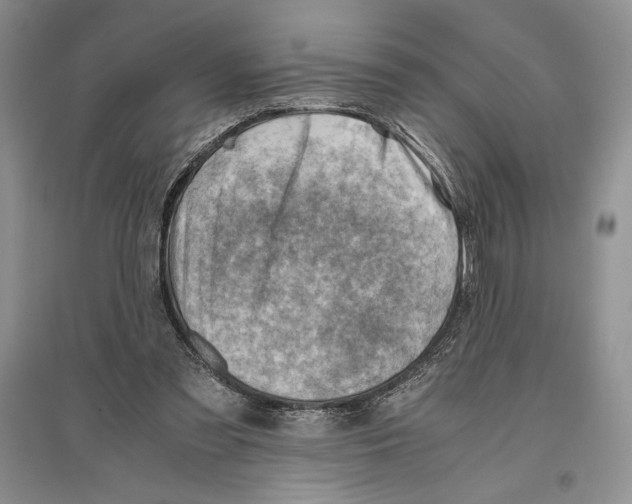 X0000096440301200802211217