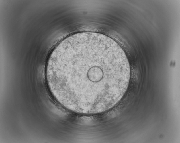 X0000096440302200802211217