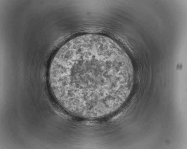 X0000096440303200802211217