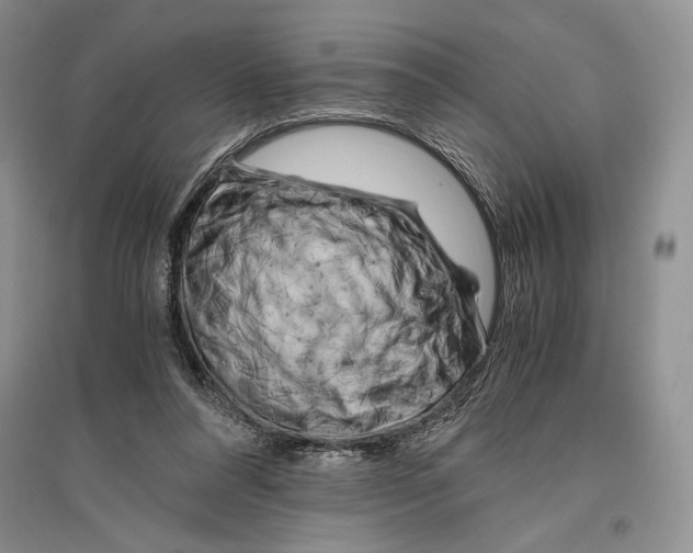 X0000096440304200802211217