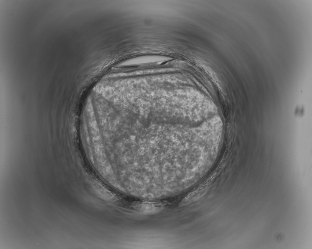 X0000096440305200802211217