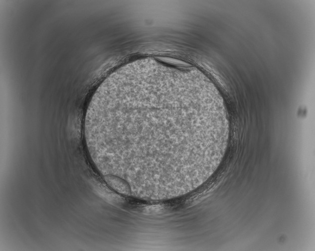 X0000096440309200802211217