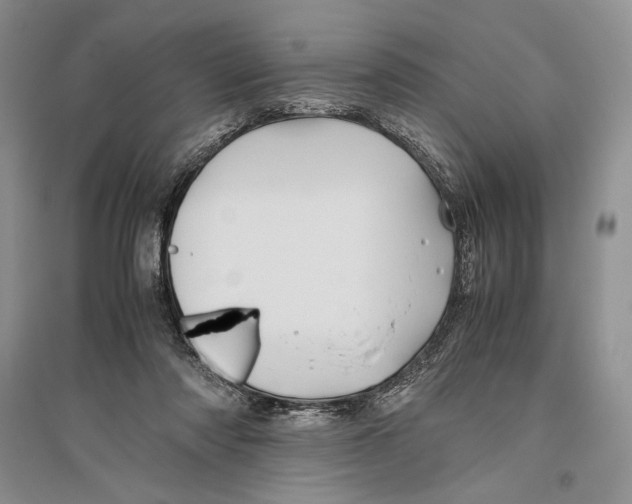 X0000096440310200802211217