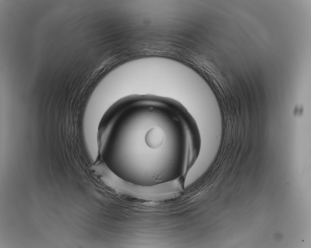 X0000096440312200802211217