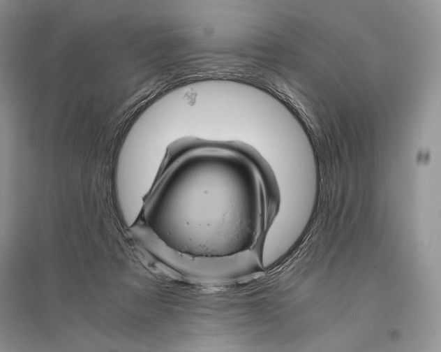 X0000096440313200802211217