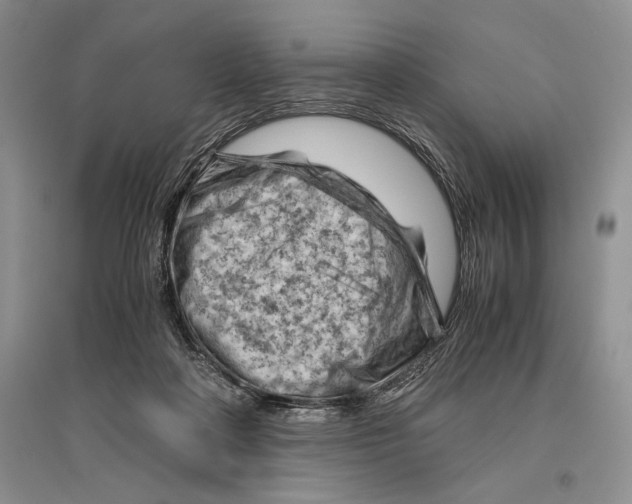 X0000096440314200802211217