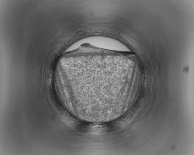 X0000096440315200802211217