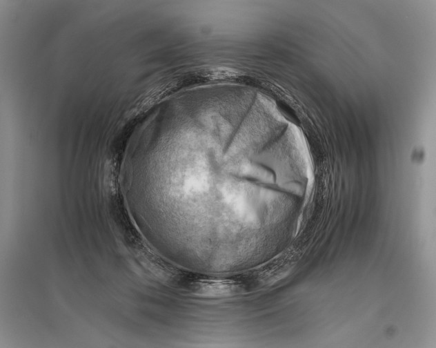 X0000096440316200802211217