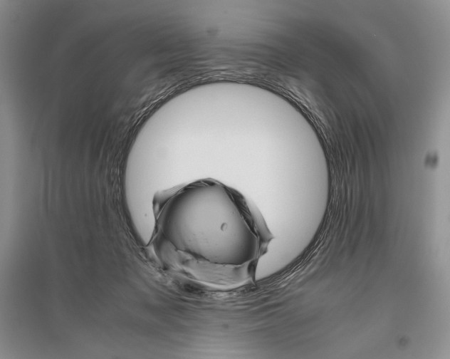 X0000096440317200802211217