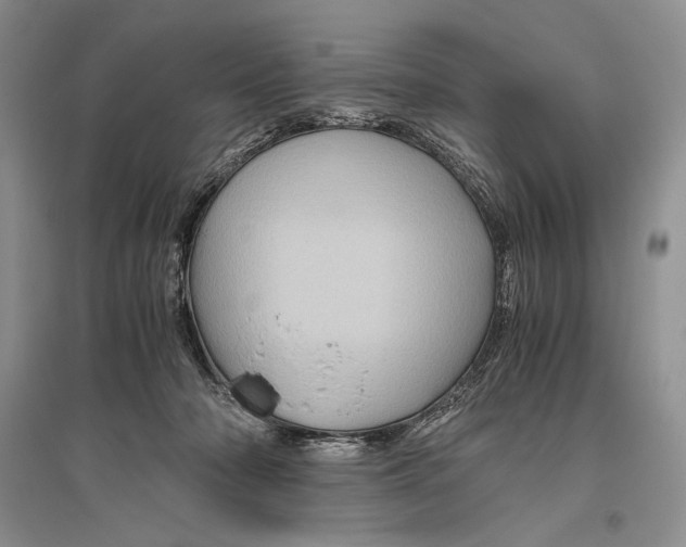 X0000096440318200802211217