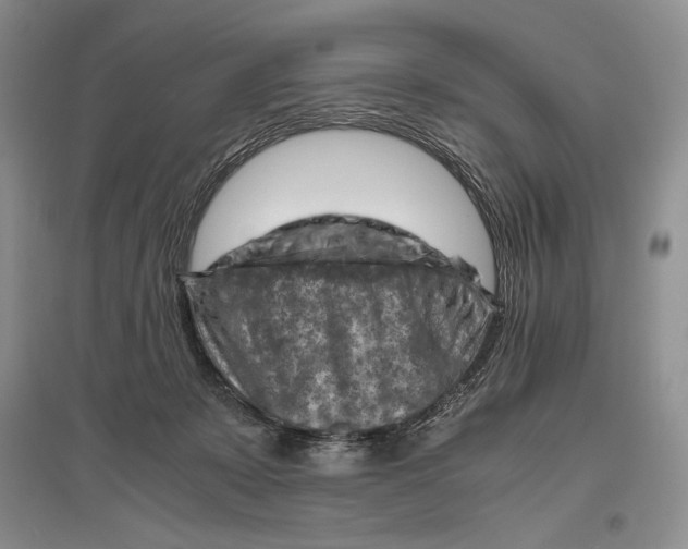 X0000096440319200802211217