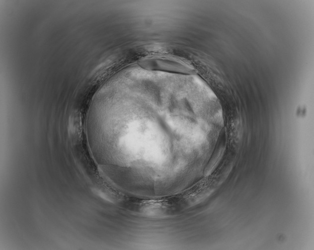 X0000096440320200802211217