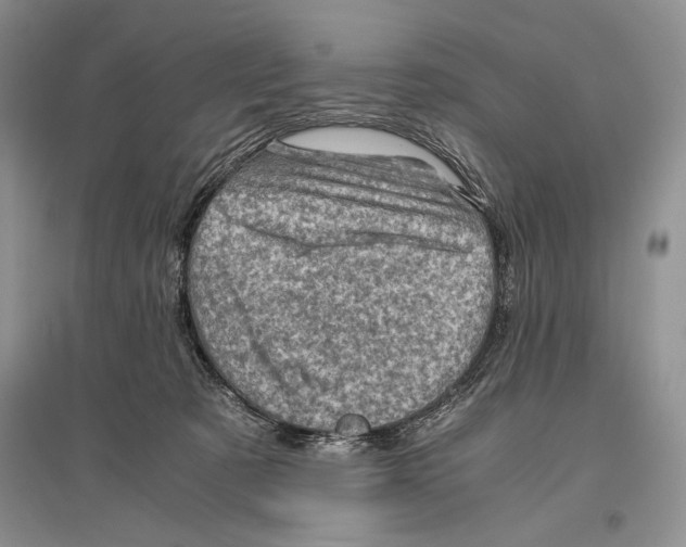 X0000096440321200802211217