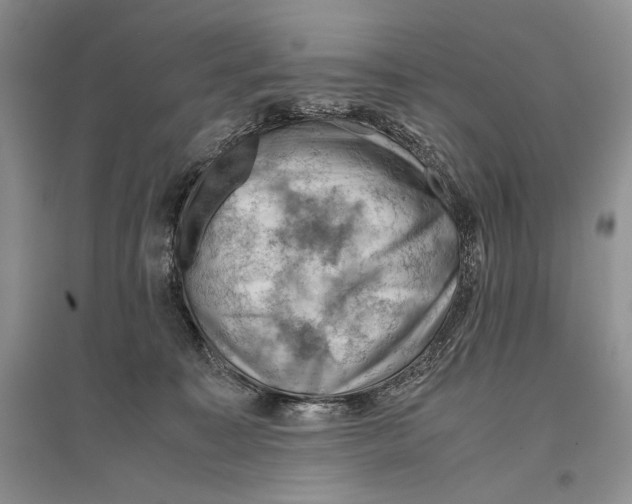 X0000096440323200802211217