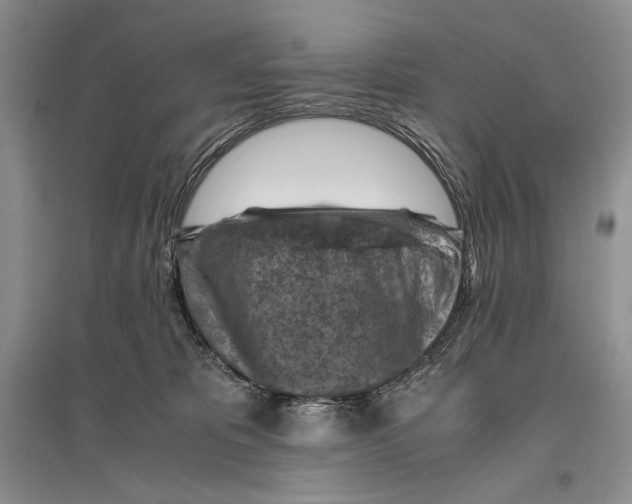 X0000096440325200802211217