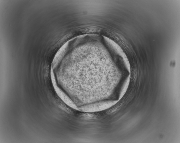 X0000096440326200802211216