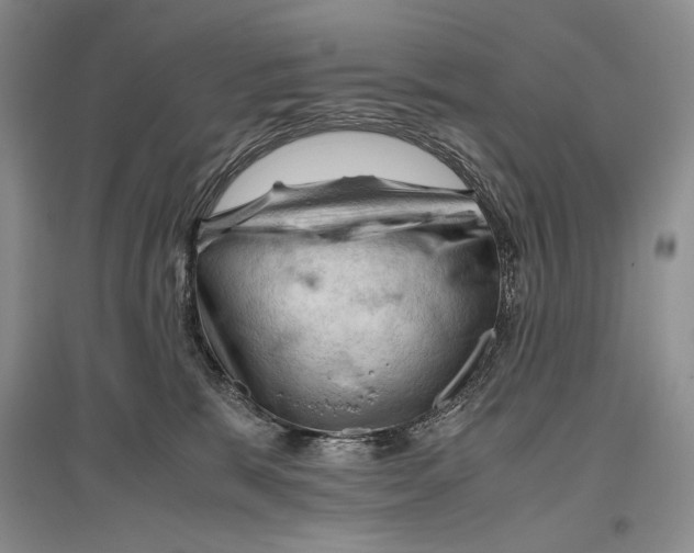 X0000096440327200802211216