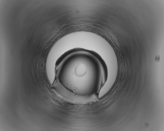 X0000096440328200802211216