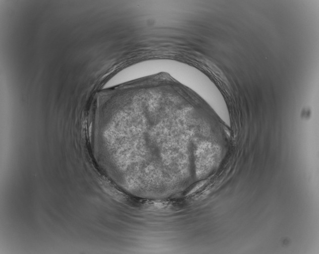 X0000096440329200802211216