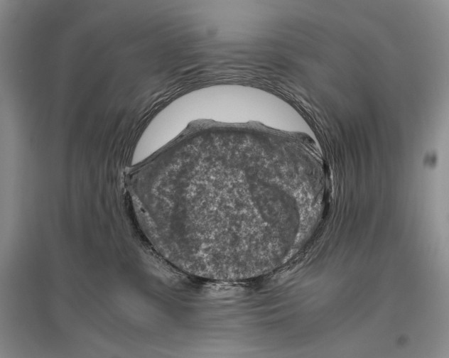 X0000096440331200802211216