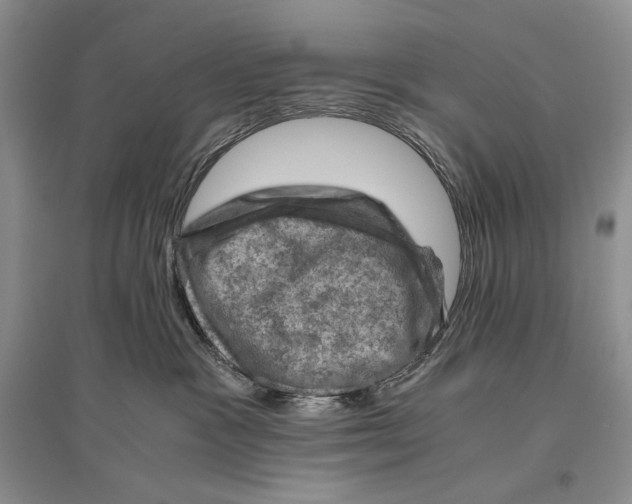 X0000096440333200802211216