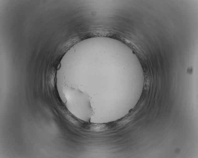 X0000096440334200802211216