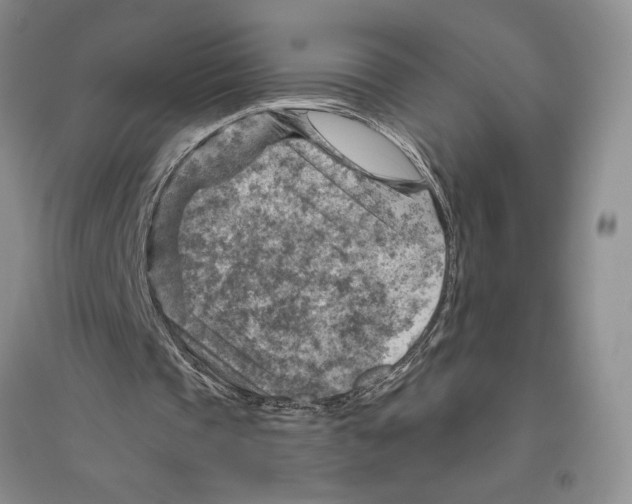 X0000096440337200802211216