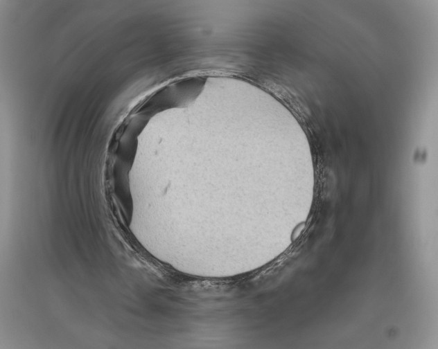 X0000096440338200802211216