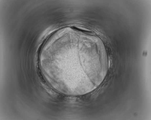 X0000096440339200802211216