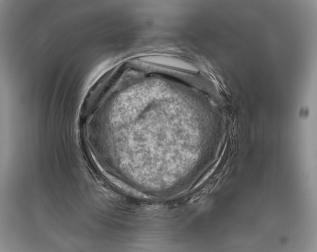 X0000096440340200802211216