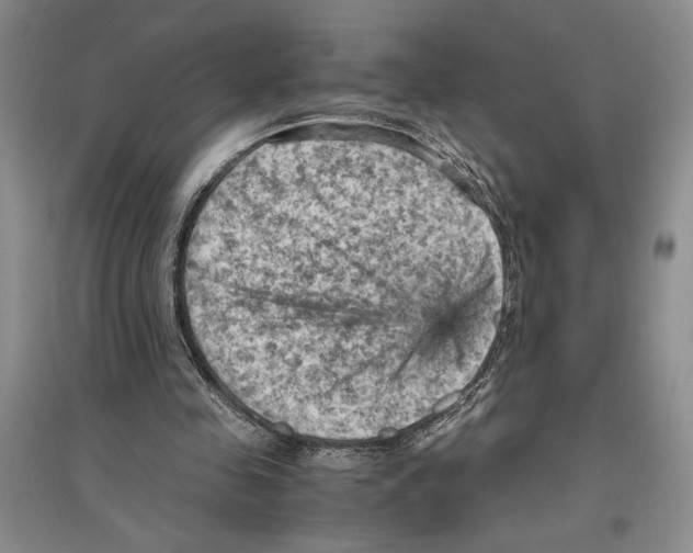 X0000096440341200802211216