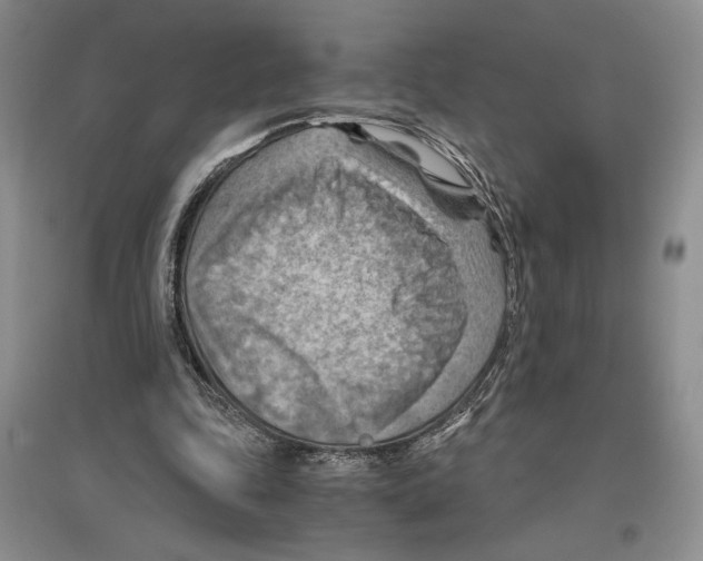 X0000096440343200802211216