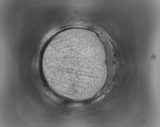 X0000096440344200802211216