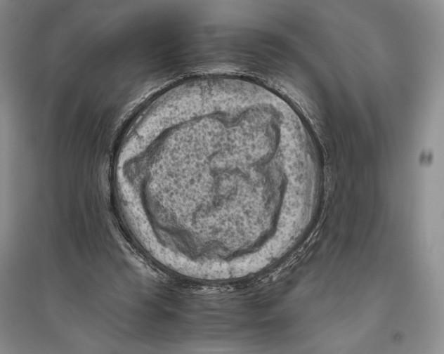 X0000096440345200802211216