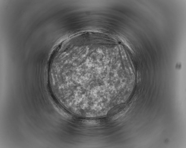 X0000096440349200802211216