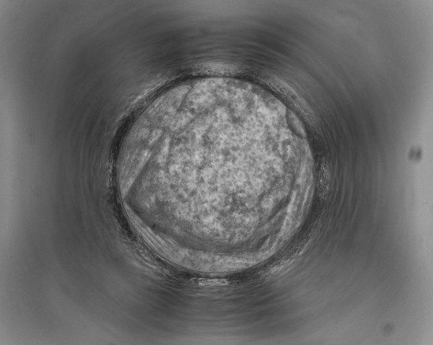 X0000096440355200802211216