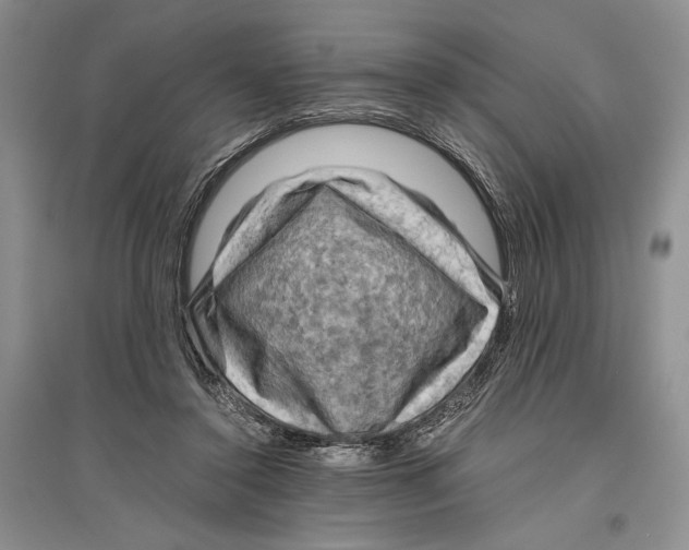 X0000096440356200802211216