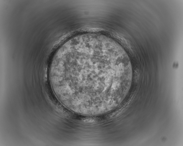 X0000096440358200802211216