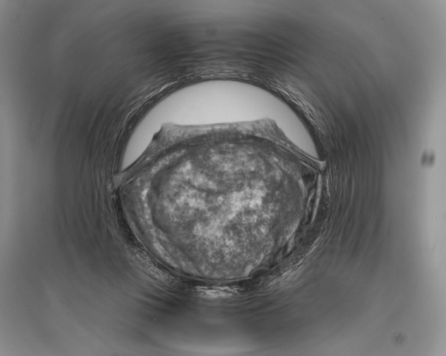 X0000096440359200802211216