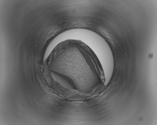 X0000096440362200802211216