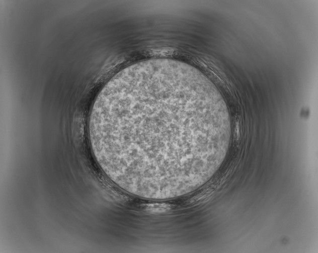 X0000096440363200802211216