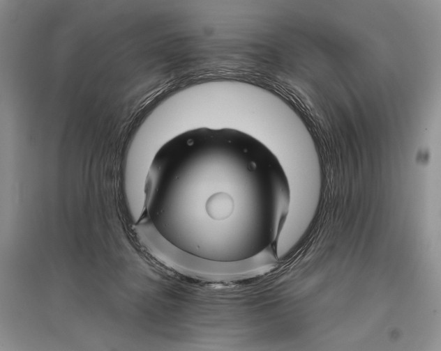 X0000096440364200802211216