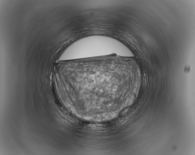 X0000096440367200802211216